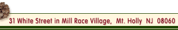 11 White St. in Mill Race Village, Mt. Holly NJ 08126