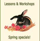 Lessons & Workshops